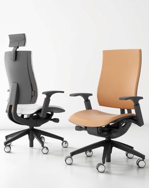 Sillas de dirección